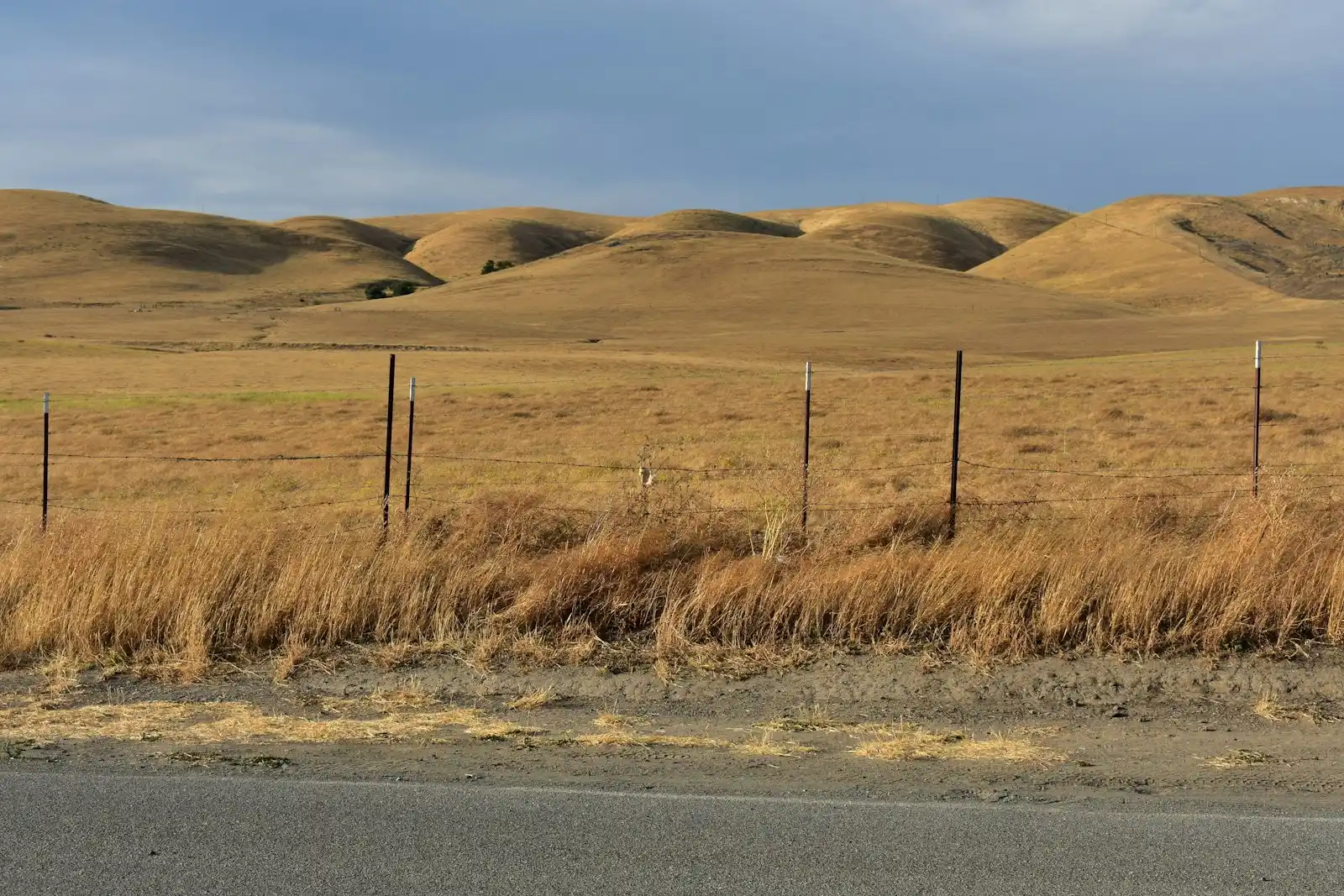 Open land of dry grass behind a wire fence, with bare hills beyond